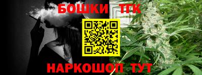 индика Вышний Волочёк