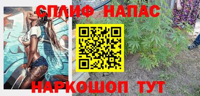 СК Вязьма