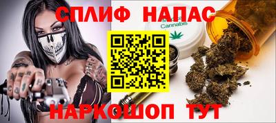 индика Вышний Волочёк