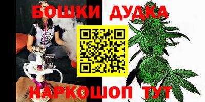 индика Вышний Волочёк