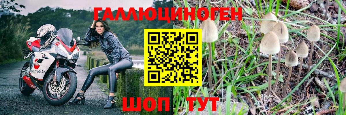 Галлюциногенные грибы Magic Shrooms  Вход с VPN  купить закладку  Грозный 
