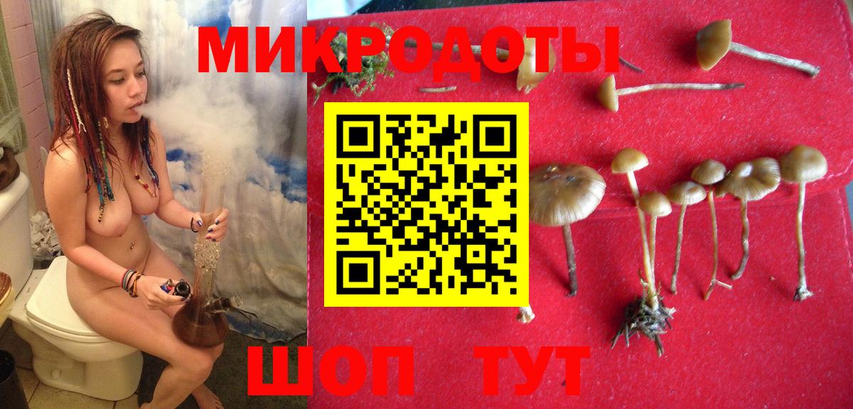Галлюциногенные грибы Magic Shrooms Грозный
